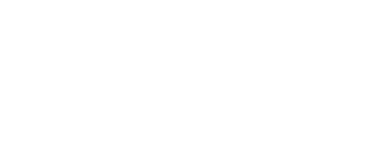 Zarova Group IT